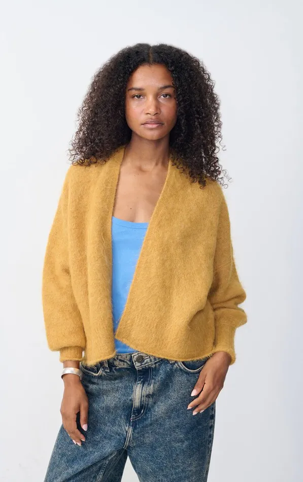 American Vintage Jumpers and Cardigans Women Cardigan Nuny Honey Melange
