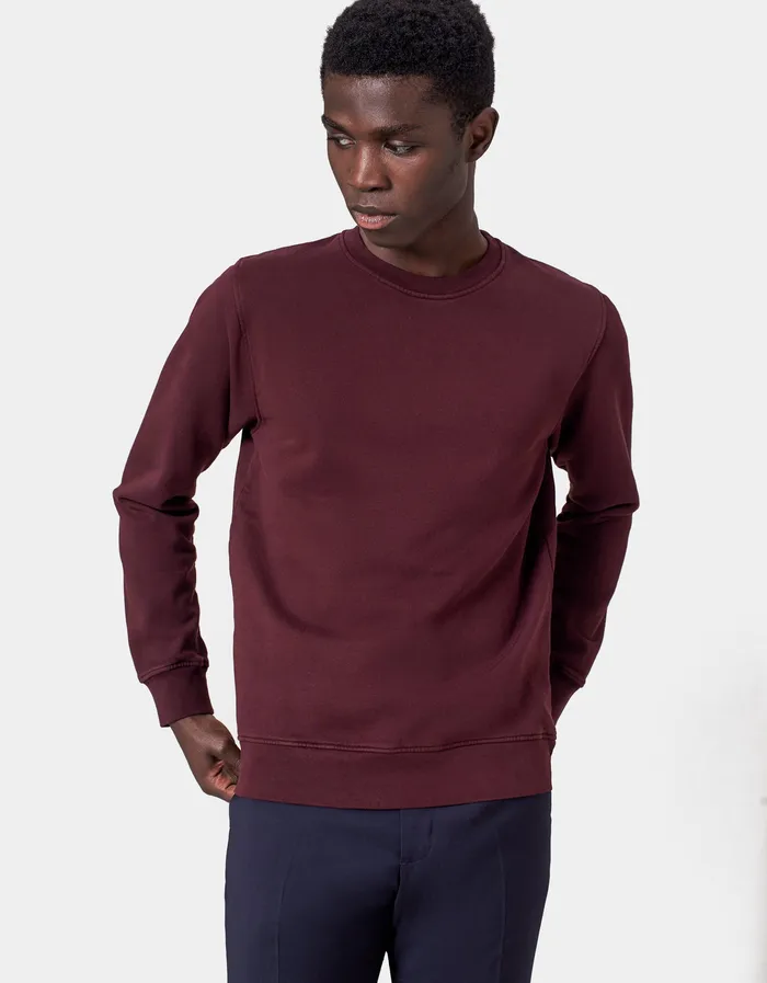 Crewneck Sweatshirts Classic Organic Crew 8211 Spring Green Colorfulstandard Men