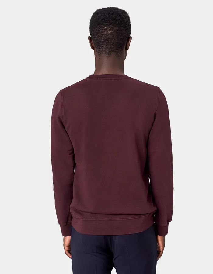 Crewneck Sweatshirts Classic Organic Crew 8211 Spring Green Colorfulstandard Men