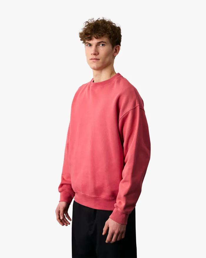 Crewneck Sweatshirts Colorfulstandard Men Organic Oversized Crew 8211 Faded Grey