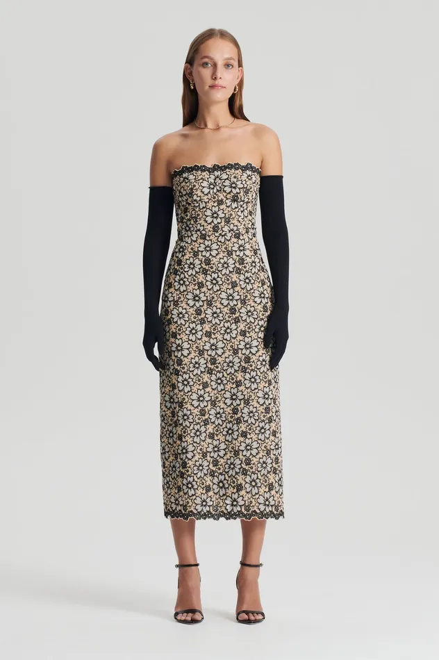 Dresses Scanlan Theodore Women EMBROIDERED FLORAL DRESS BLACKCREAM
