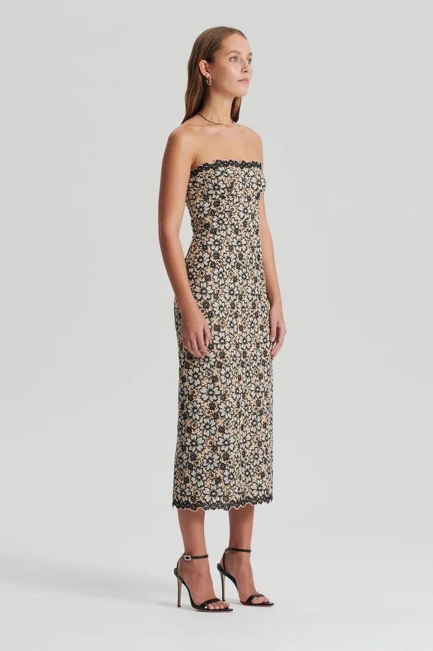 Dresses Scanlan Theodore Women EMBROIDERED FLORAL DRESS BLACKCREAM Dresses Scanlan Theodore Women EMBROIDERED FLORAL DRESS BLACKCREAM
