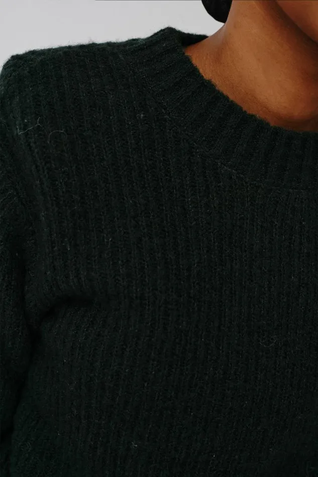 Evangeline 8211 Scarab Women Won Hundred Knitwear