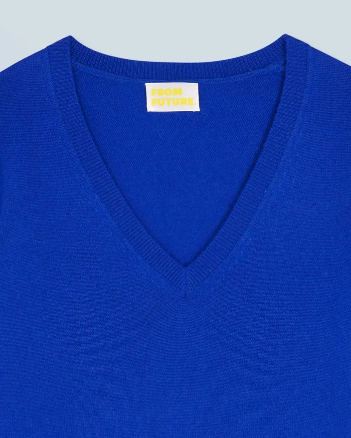 From Future Cashmere Sweaters Women Basic VNeck Sweater Popblue