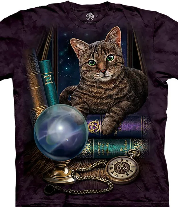 Liquid Blue TShirt Men The Fortune Teller Classic Cotton TShirt