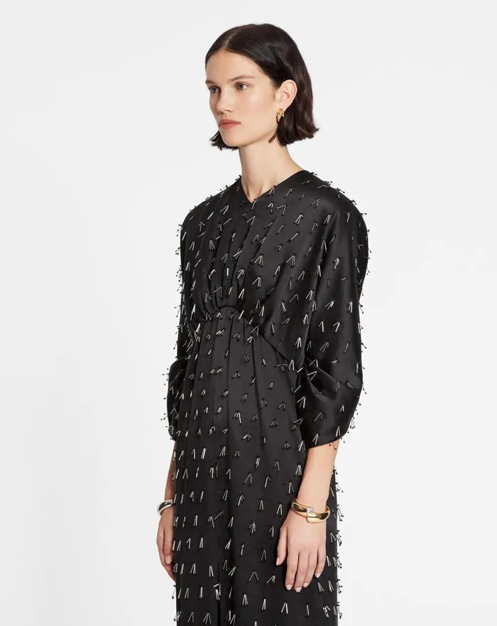 Long Embroidered Dress Black Women Lanvin Dresses