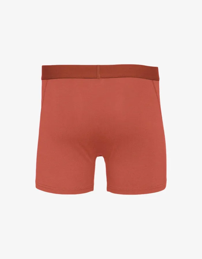 Men Classic Organic Boxer Briefs Dark Amber Colorful Standard Underwear