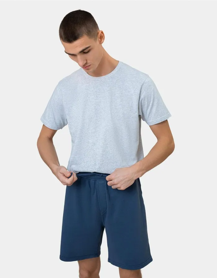 Men Classic Organic Sweatshorts Stone Blue Colorful Standard Shorts