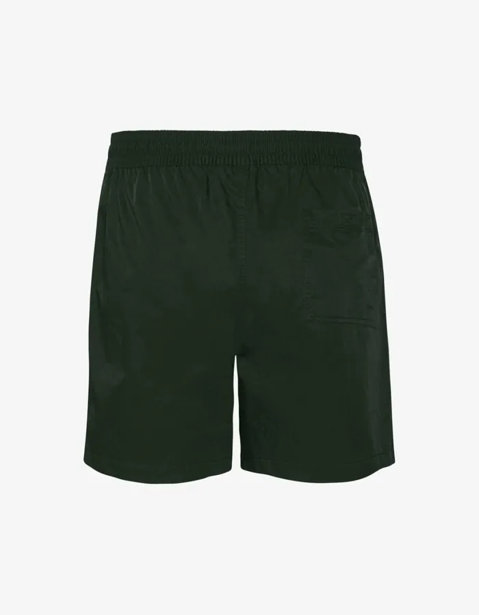Men Classic Swim Shorts Hunter Green Colorful Standard Shorts