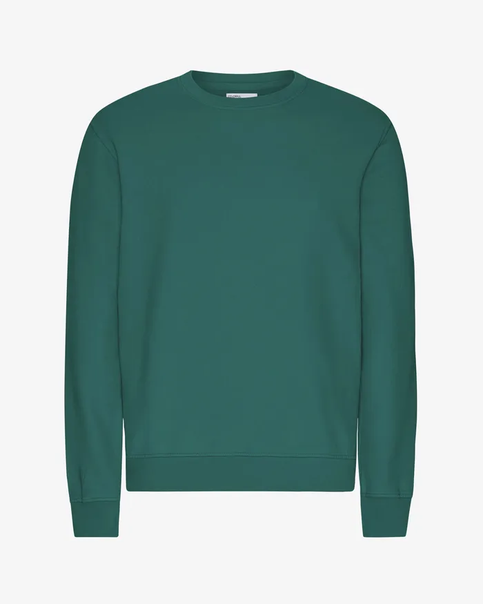 Men Crewneck Sweatshirts Colorfulstandard Classic Organic Crew 8211 Pine Green