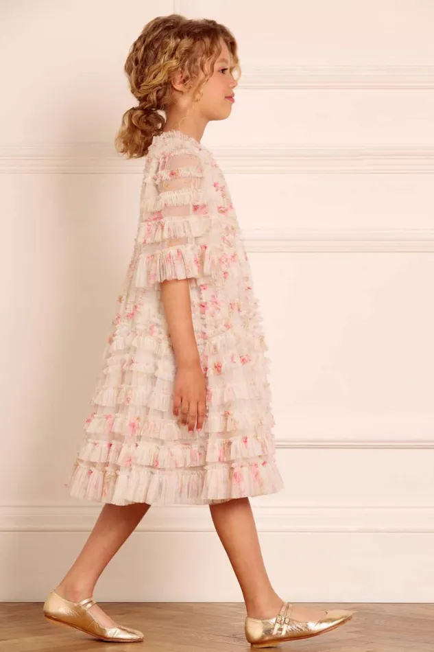 Needle and Thread Kids Formalwear Enchanted Garden La Vie En Rose Kids Dress Multi 8211 Kids