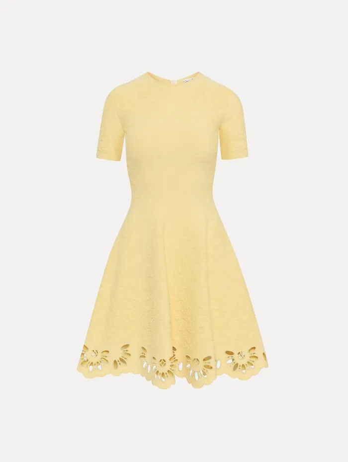 Oscar De La Renta Eyelet Jacquard Dress Banana Women Dresses