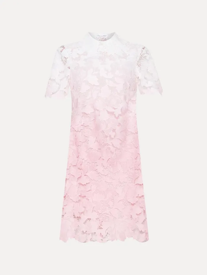 Oscar De La Renta Ombr Peony Guipure Shift Dress Soft Pink Women Dresses