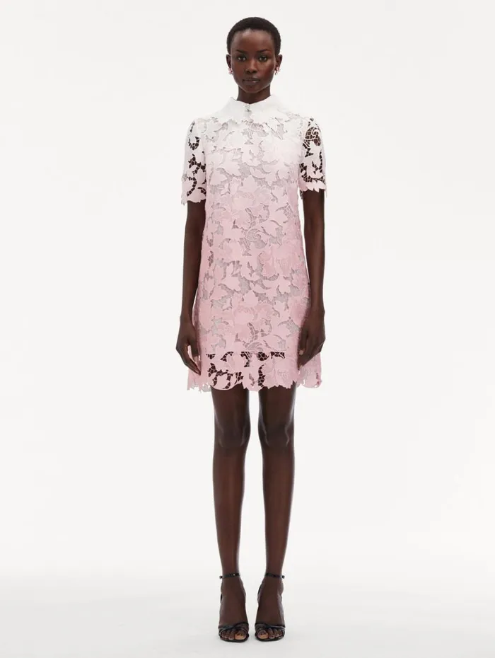 Oscar De La Renta Ombr Peony Guipure Shift Dress Soft Pink Women Dresses