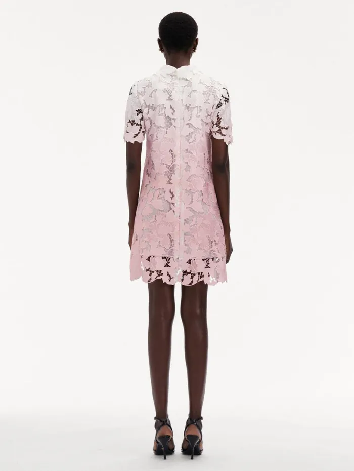 Oscar De La Renta Ombr Peony Guipure Shift Dress Soft Pink Women Dresses