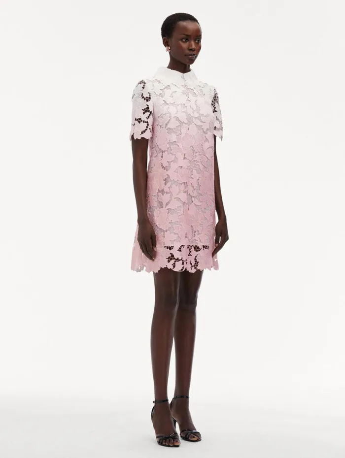 Oscar De La Renta Ombr Peony Guipure Shift Dress Soft Pink Women Dresses