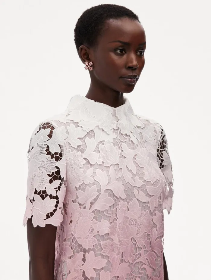 Oscar De La Renta Ombr Peony Guipure Shift Dress Soft Pink Women Dresses