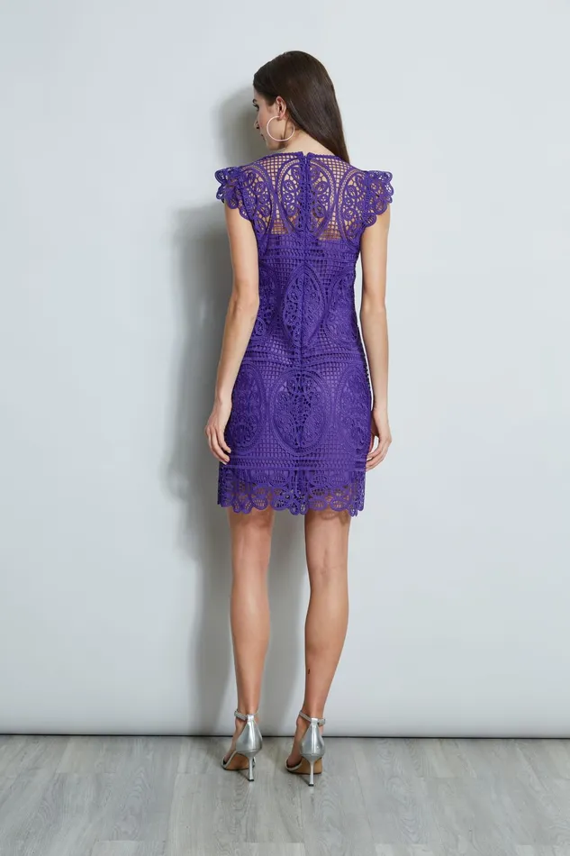 Outlet 8211 Women Short Sleeve Dresses Elie Tahari Lace Flutter Sleeve Dress Plum