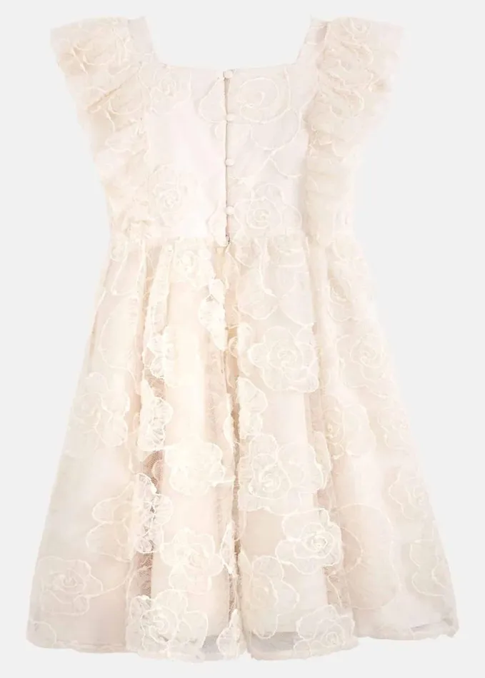 Phase Eight Rosa Lace Applique Smock Dress Cream Women Dresses