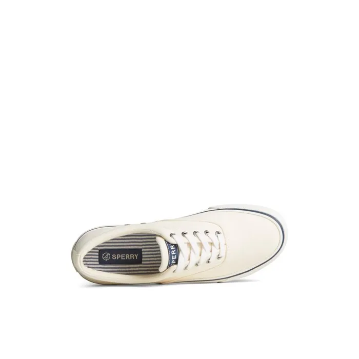 Sneakers Men Sperry Striper II Canvas CVO Sneaker White