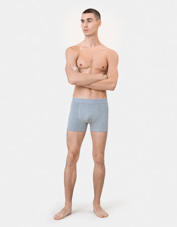 Underwear Classic Organic Boxer Briefs 8211 Deep Black Colorfulstandard Men