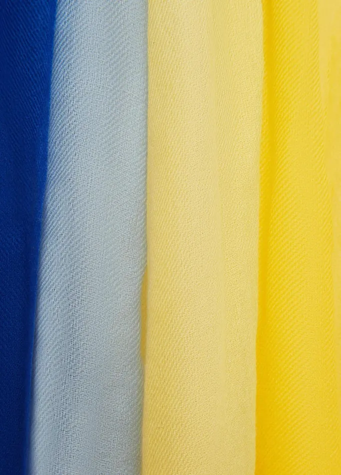 Vince Scarves Hats and Gloves Women Ukraine Cashmere Scarf Coastal
