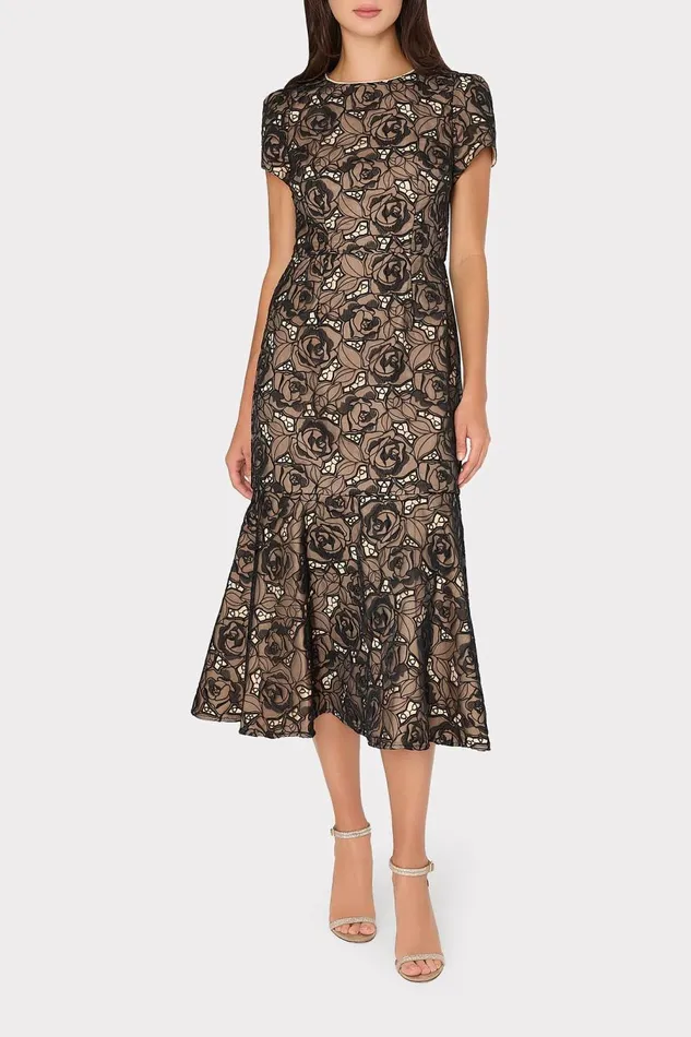 Women Dresses Milly Tahlia Rose Mesh Embroidered Dress Black Women Dresses Milly Tahlia Rose Mesh Embroidered Dress Black