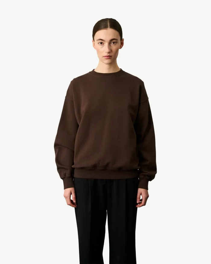 Women Organic Oversized Crew Light Aqua Colorful Standard Crewneck Sweatshirts