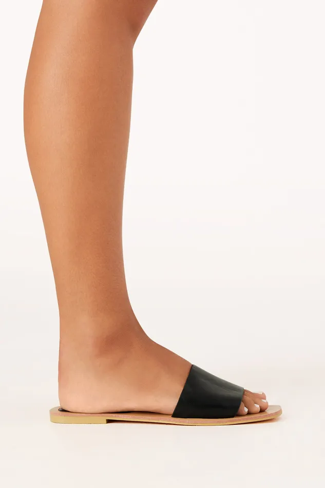 Women petalandpup Zona Sandals 8211 Black Black Sandals