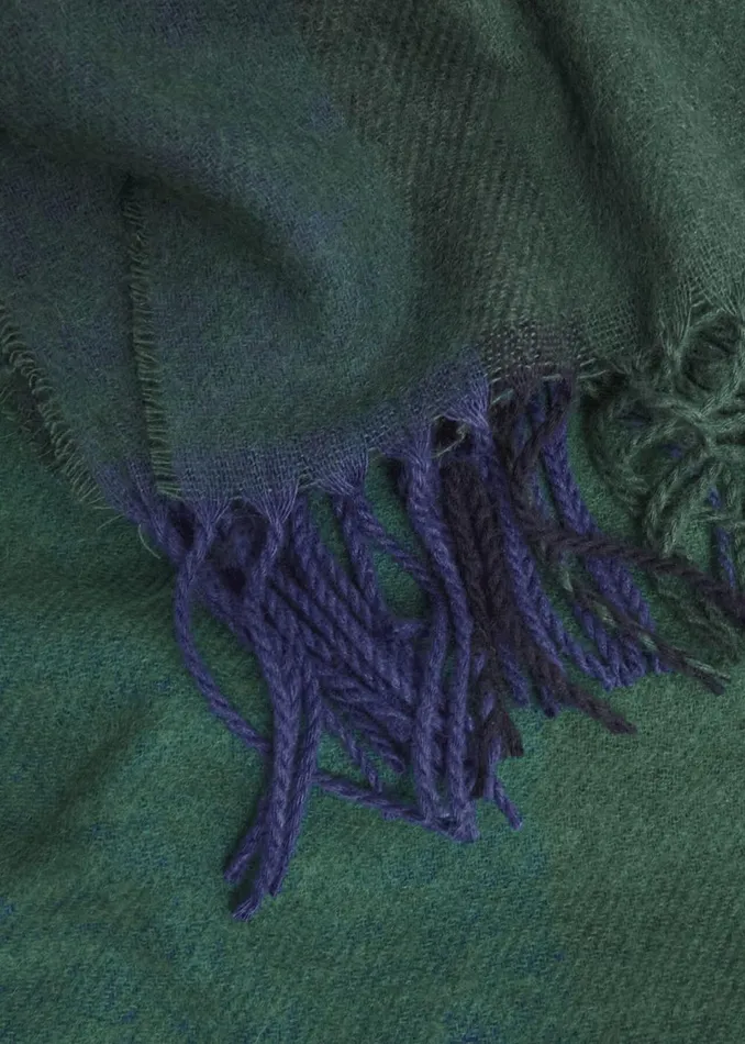 Women Scarves Hobbs Tiana Scarf Green Multi
